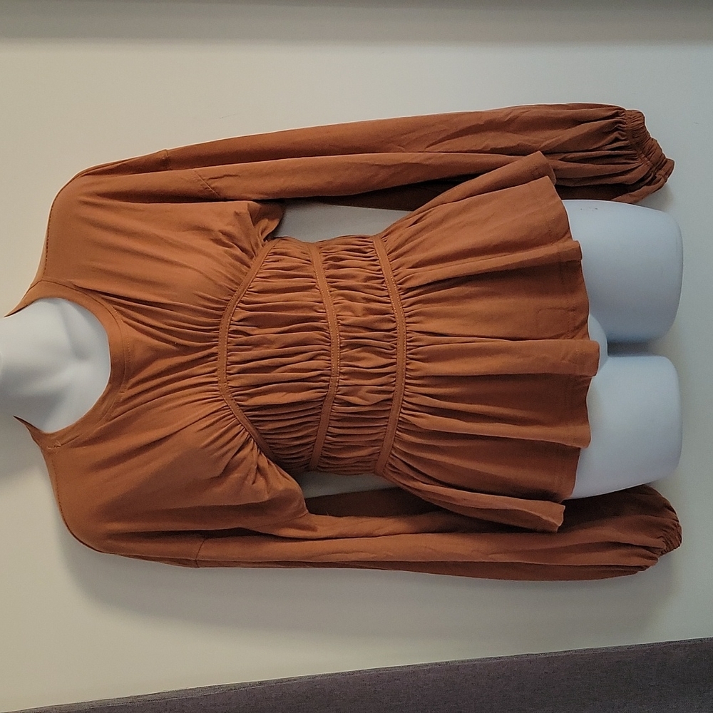 Missguided Bohemian Smocked Peasant Style Balloon Sleeve Top in Rust